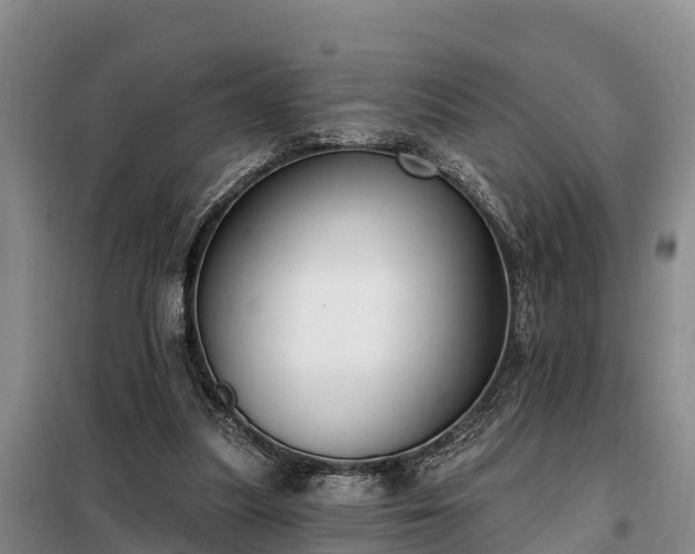 X0000099300251200805091001