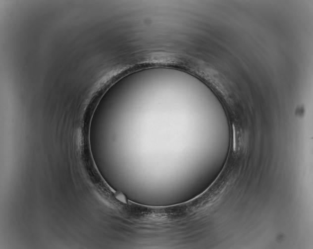 X0000099300252200805091001