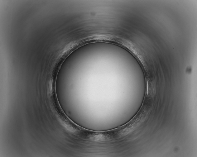 X0000099300253200805091001