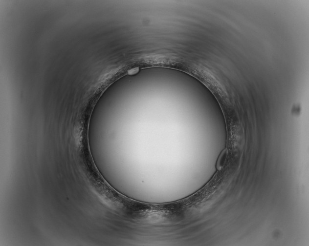 X0000099300255200805091001