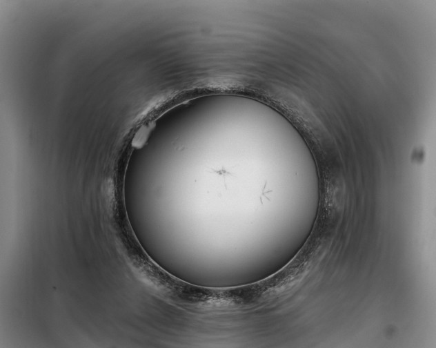 X0000099300256200805091001