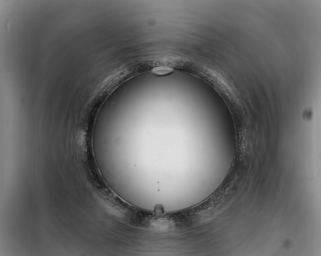 X0000099300258200805091001