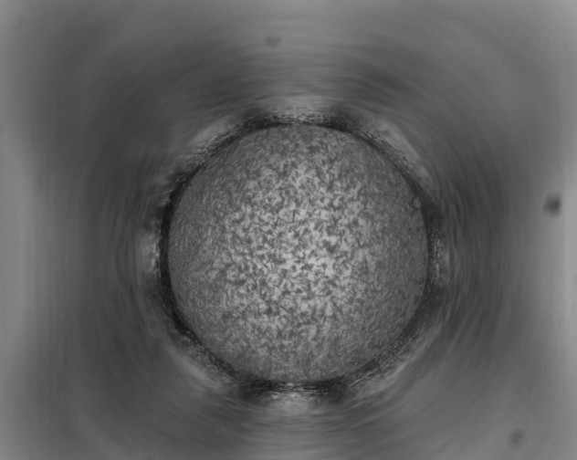 X0000099300259200805091001