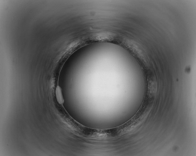 X0000099300260200805091001