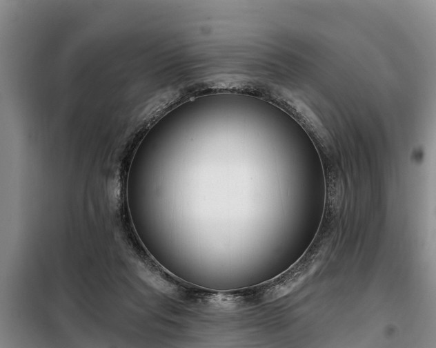 X0000099300261200805091001