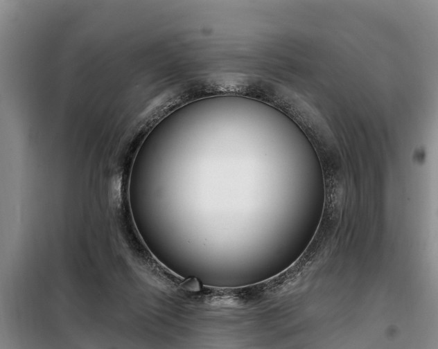 X0000099300262200805091001