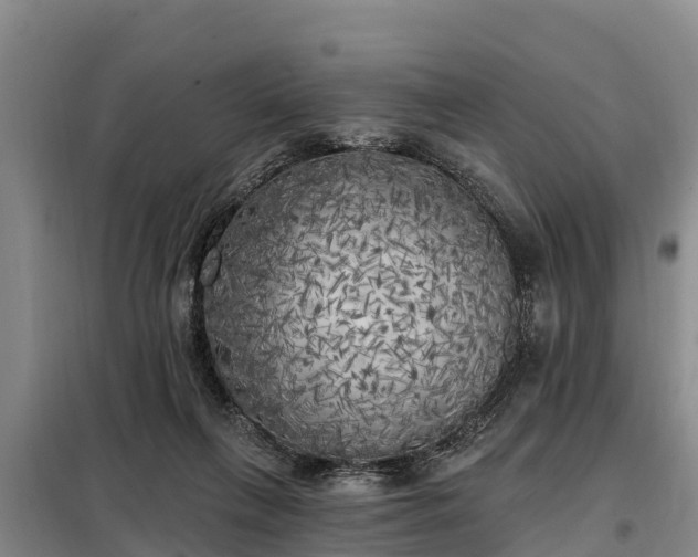 X0000099300263200805091001