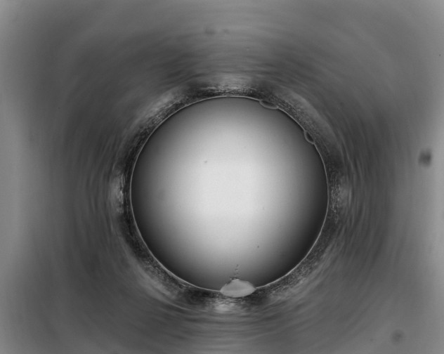 X0000099300264200805091001