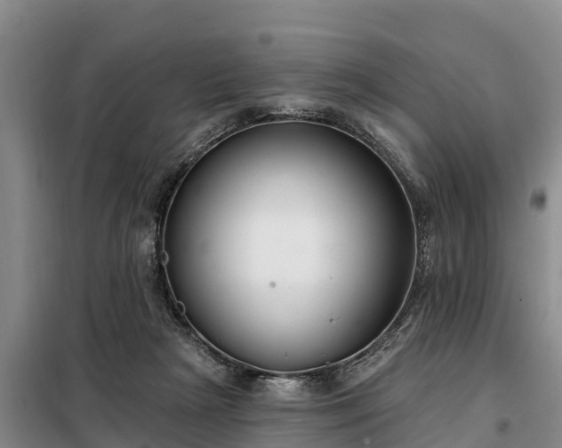 X0000099300265200805091001