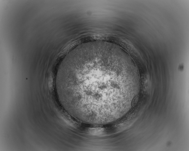 X0000099300266200805091001