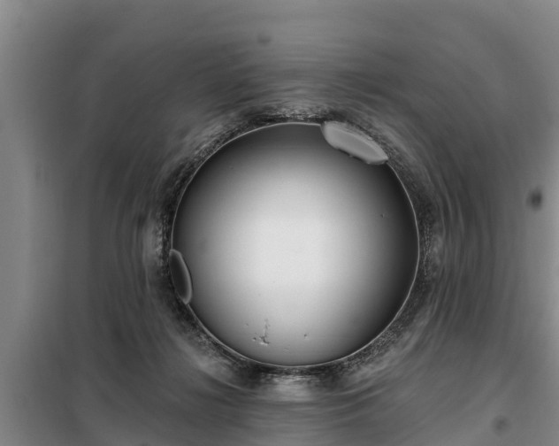 X0000099300268200805091001