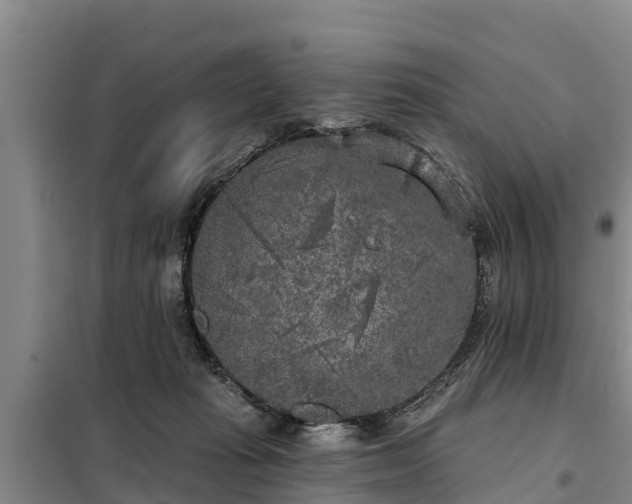 X0000099300269200805091001