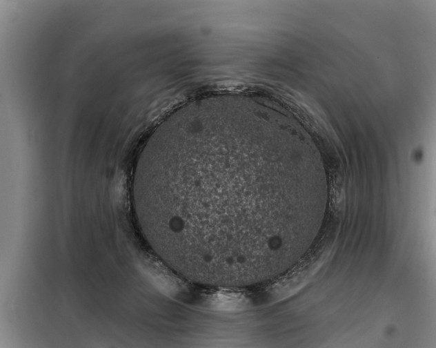 X0000099300270200805091001