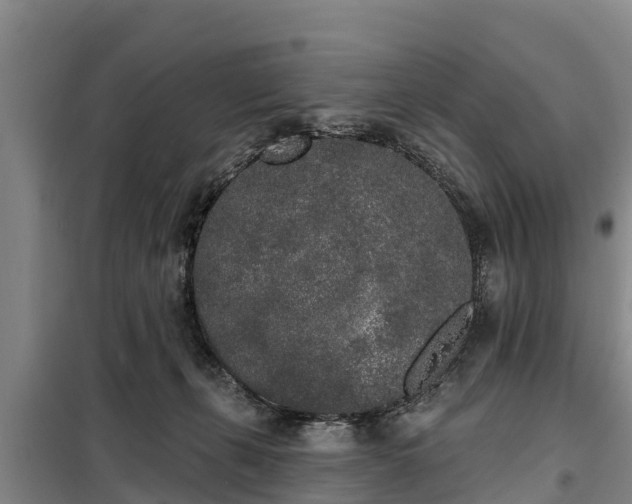 X0000099300271200805091001