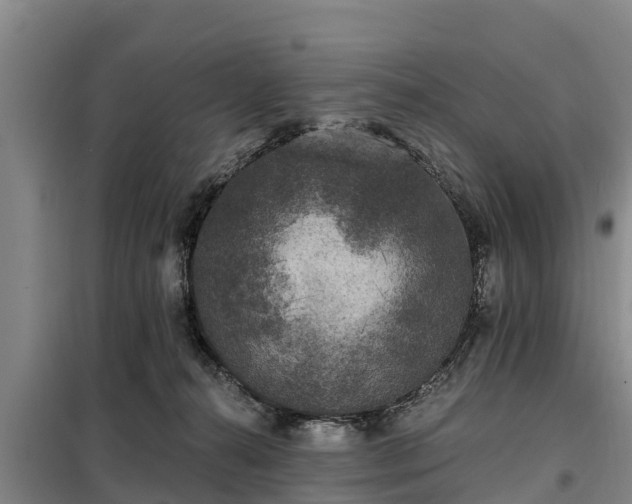 X0000099300272200805091001