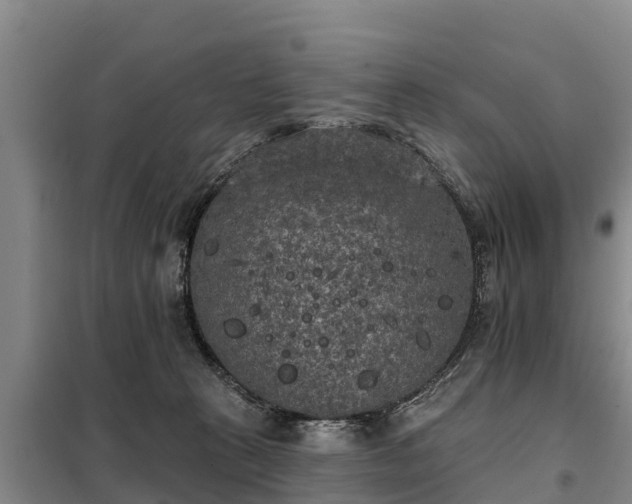 X0000099300273200805091001