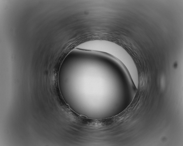 X0000099300276200805091001