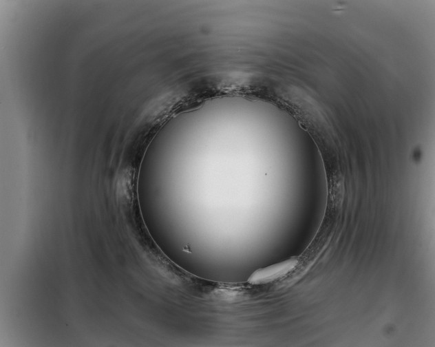 X0000099300280200805091001