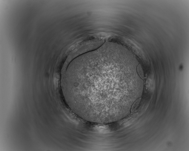 X0000099300283200805091001