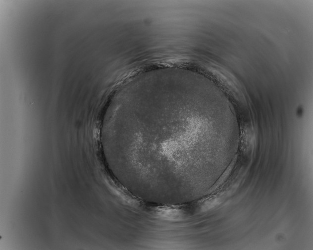 X0000099300284200805091001