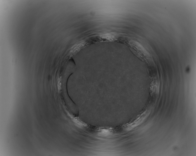 X0000099300285200805091001