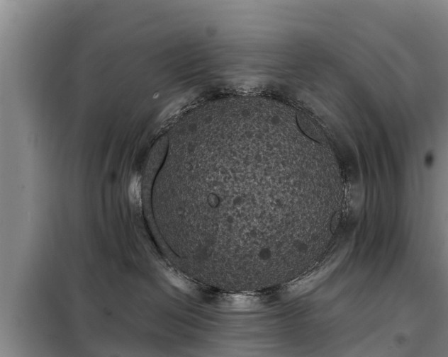 X0000099300286200805091001