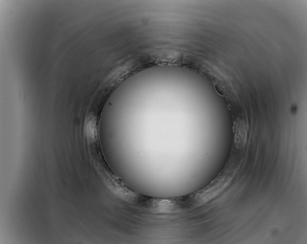 X0000099300287200805091001