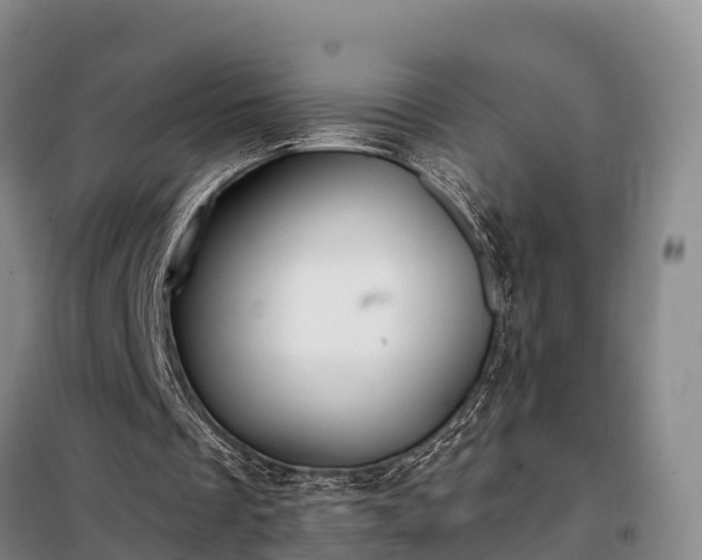 X0000099300289200805091001