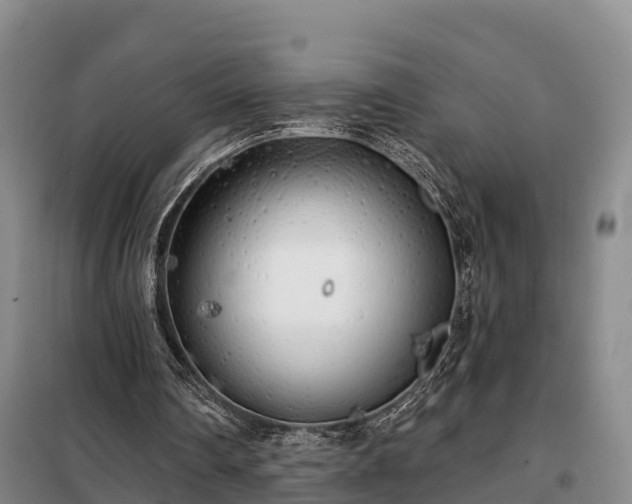 X0000099300290200805091001