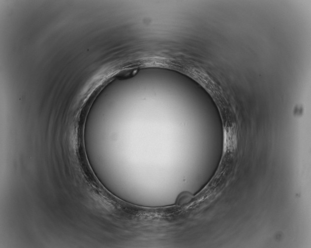 X0000099300291200805091001