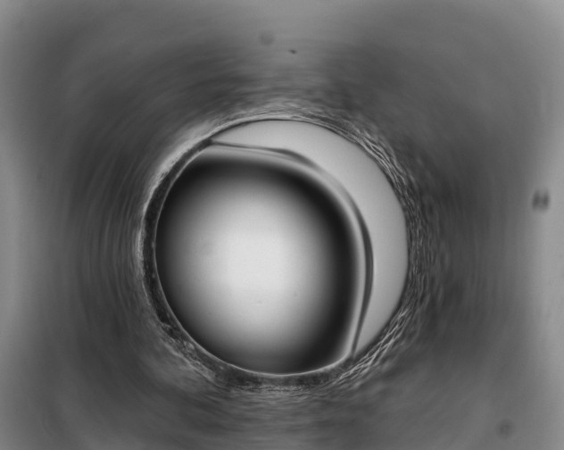 X0000099300292200805091001