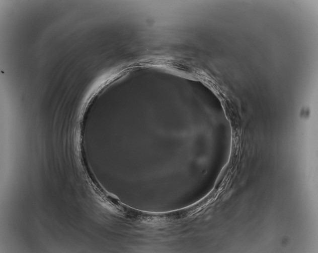 X0000099300293200805091001