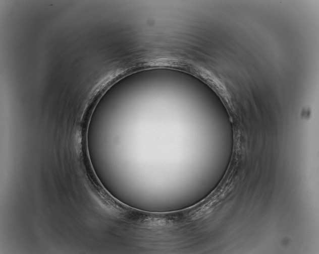 X0000099300298200805091000