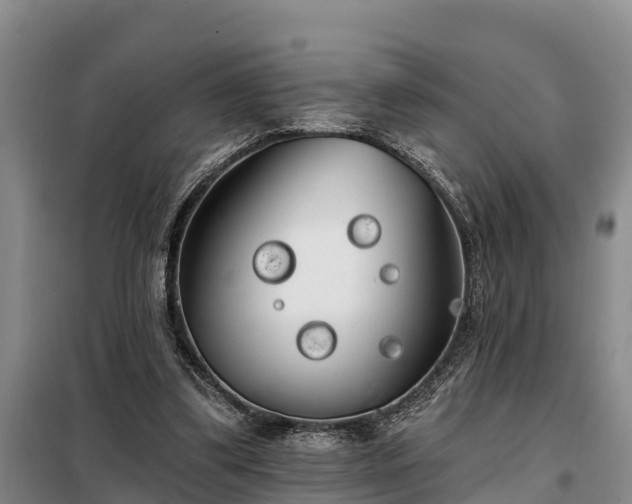 X0000099300299200805091000