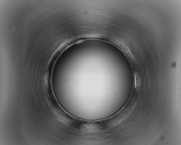 X0000099300300200805091000