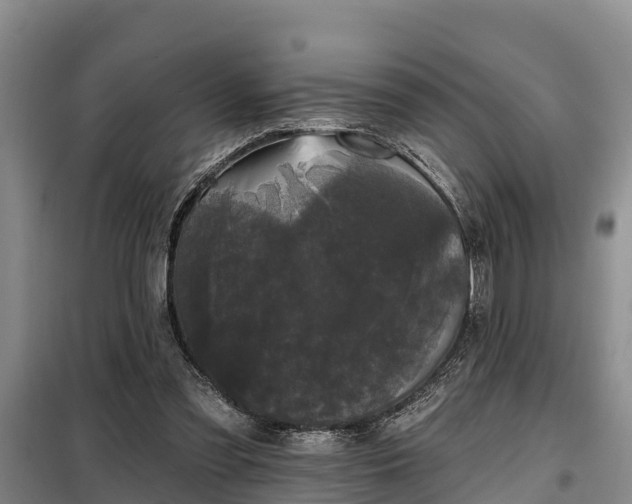 X0000099300301200805091000