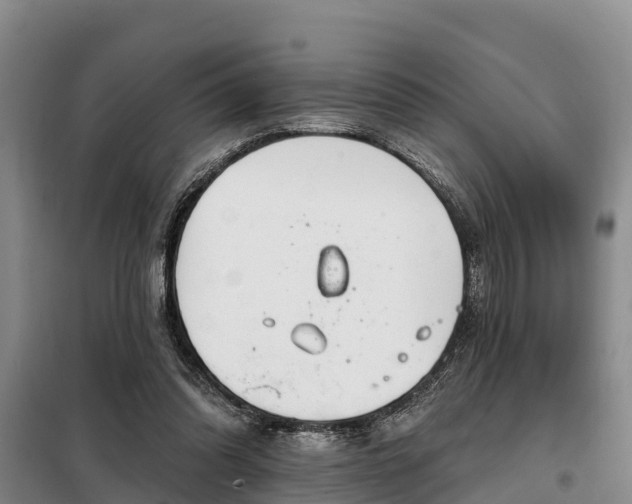 X0000099300302200805091000