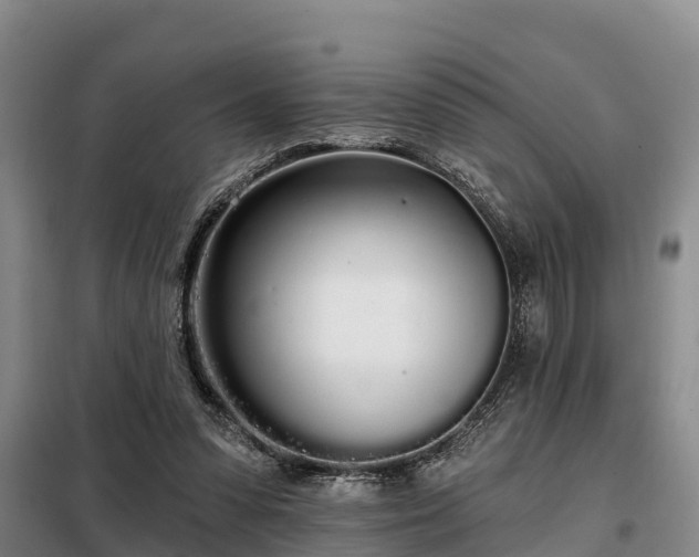 X0000099300303200805091000