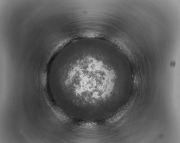 X0000099300304200805091000