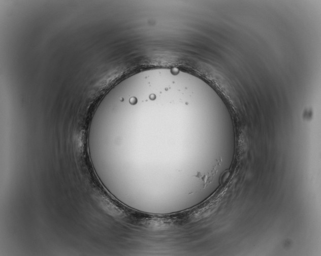 X0000099300305200805091000