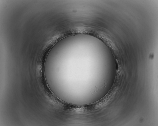 X0000099300306200805091000