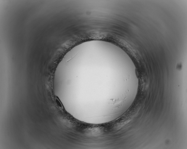 X0000099300307200805091000