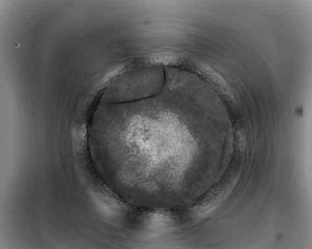 X0000099300308200805091000