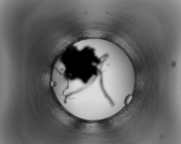 X0000099300309200805091000