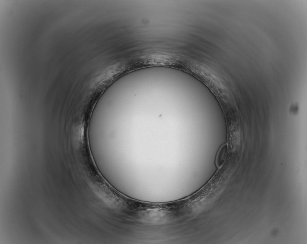 X0000099300310200805091000