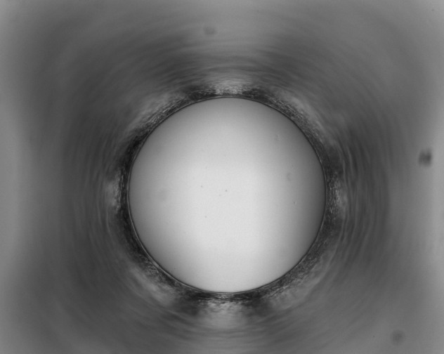 X0000099300311200805091000