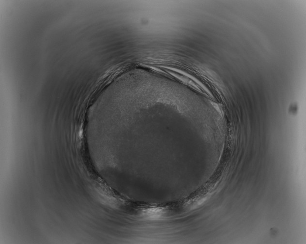 X0000099300312200805091000