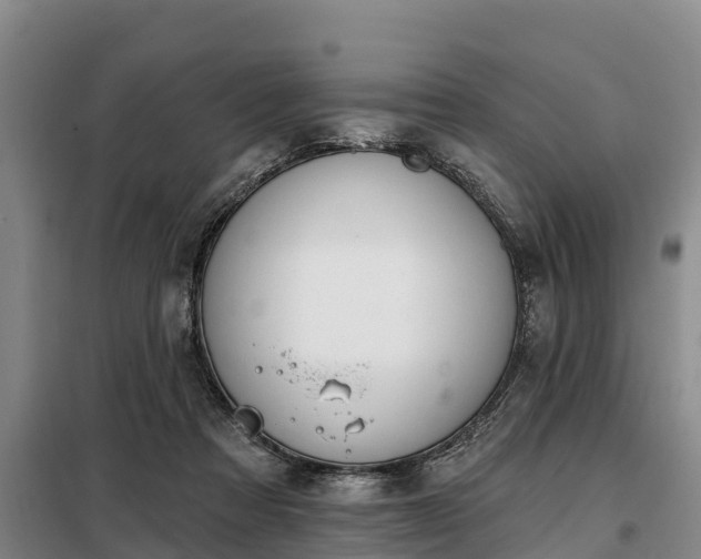 X0000099300313200805091000