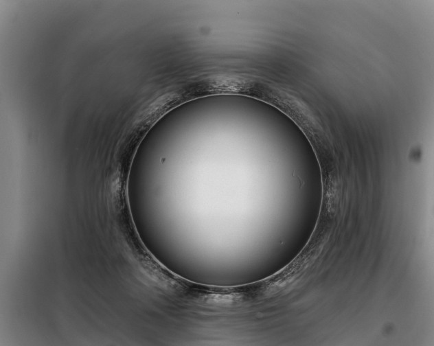 X0000099300314200805091000