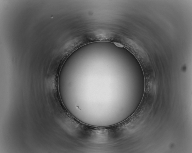 X0000099300317200805091000